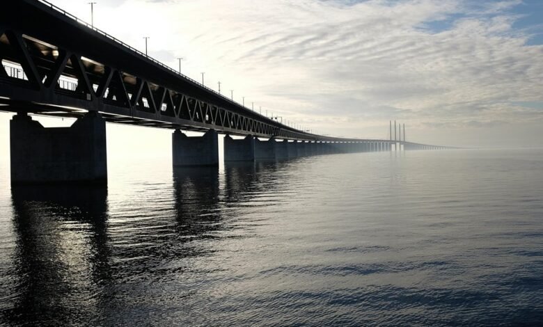 market growth and analysis