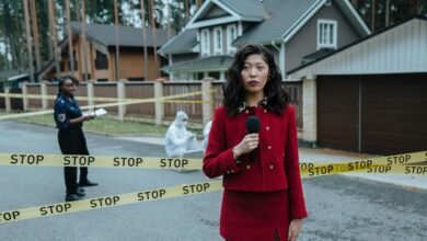 ip activity report summary